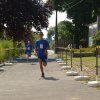 Falunap 2017